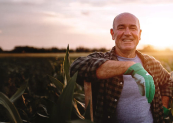Agro alcança 25% do PIB e reforça papel do trabalho rural 6 destaque agro