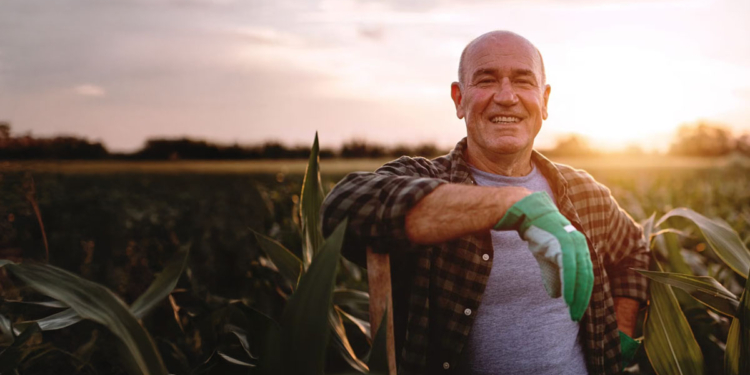 Agro alcança 25% do PIB e reforça papel do trabalho rural 1 destaque agro