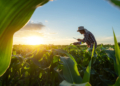 ICAO aprova iniciativa brasileira para fortalecer cooperativas agro