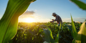ICAO aprova iniciativa brasileira para fortalecer cooperativas agro