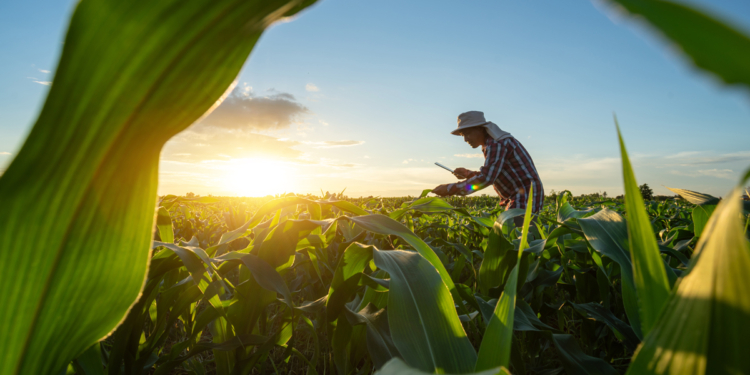 ICAO aprova iniciativa brasileira para fortalecer cooperativas agro