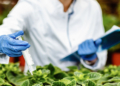 Ministério lança sistema para destravar análise de agrotóxicos e bioinsumos