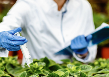 Ministério lança sistema para destravar análise de agrotóxicos e bioinsumos