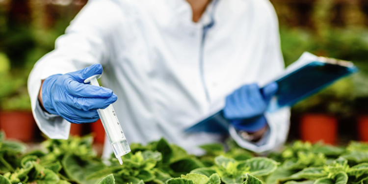 Ministério lança sistema para destravar análise de agrotóxicos e bioinsumos 1 Ministério lança sistema para destravar análise de agrotóxicos e bioinsumos