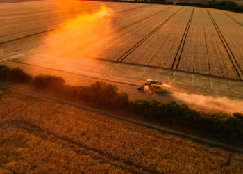 Primeiro sistema de gestão empresarial do mundo para cooperativas do agro é lançado no Brasil