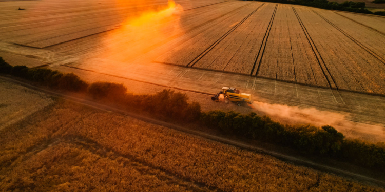 Primeiro sistema de gestão empresarial do mundo para cooperativas do agro é lançado no Brasil 1 Primeiro sistema de gestão empresarial do mundo para cooperativas do agro é lançado no Brasil