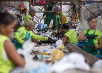 Cooperativas de reciclagem em Alagoas geram renda acima da média nacional e fortalecem economia circular do estado 2 Cooperativas de reciclagem em Alagoas geram renda acima da média nacional e fortalecem economia circular do estado