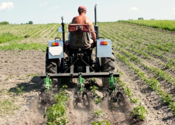 Disponibilidade de recursos para seguro rural preocupa mais que eventos climáticos, diz Fenseg 2 Disponibilidade de recursos para seguro rural preocupa mais que eventos climáticos, diz Fenseg