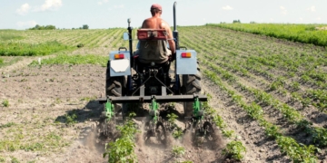 Disponibilidade de recursos para seguro rural preocupa mais que eventos climáticos, diz Fenseg