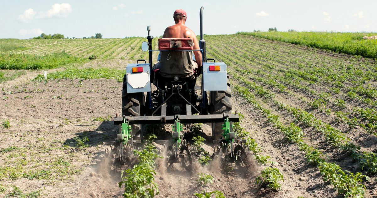 Disponibilidade de recursos para seguro rural preocupa mais que eventos climáticos, diz Fenseg