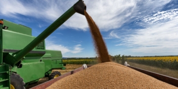 Brasil responde por cerca de 60% da expansão da soja nos últimos 20 anos 10 Brasil responde por cerca de 60% da expansão da soja nos últimos 20 anos