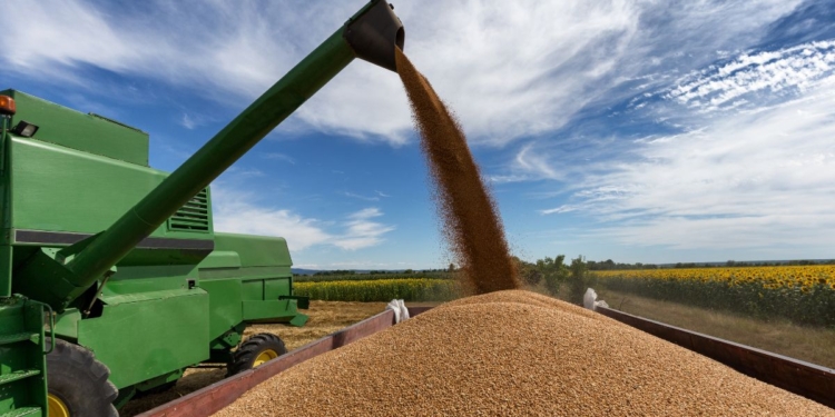 Brasil responde por cerca de 60% da expansão da soja nos últimos 20 anos 1 Brasil responde por cerca de 60% da expansão da soja nos últimos 20 anos