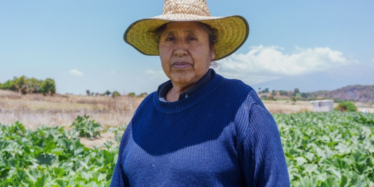 Projeto da FAO amplia crédito para mulheres rurais no Paraguai