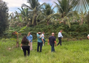 Cooperativas capixabas iniciam implementação do Programa Café Produtor de Água