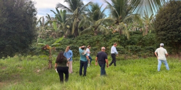 Cooperativas capixabas iniciam implementação do Programa Café Produtor de Água