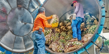 Plataforma Emprega Coop usa inteligência artificial para conectar talentos a cooperativas de crédito na Amazônia Legal 10 Plataforma Emprega Coop usa inteligência artificial para conectar talentos a cooperativas de crédito na Amazônia Legal