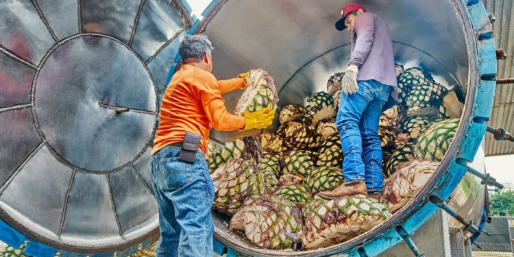 Plataforma Emprega Coop usa inteligência artificial para conectar talentos a cooperativas de crédito na Amazônia Legal 1 Plataforma Emprega Coop usa inteligência artificial para conectar talentos a cooperativas de crédito na Amazônia Legal