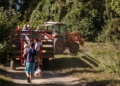 Renegociação de dívidas do agronegócio divide governo e setor produtivo no Congresso