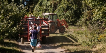 Renegociação de dívidas do agronegócio divide governo e setor produtivo no Congresso