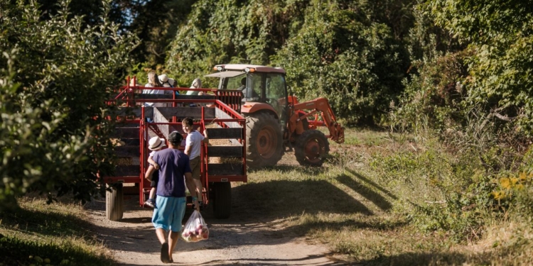 Renegociação de dívidas do agronegócio divide governo e setor produtivo no Congresso 1 Renegociação de dívidas do agronegócio divide governo e setor produtivo no Congresso