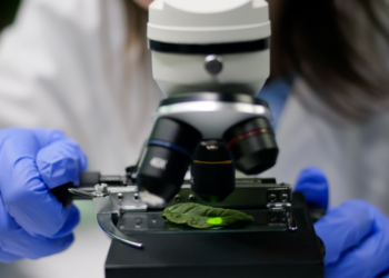 Paraná terá a primeira cooperativa científica do Brasil 4 Paraná terá a primeira cooperativa científica do Brasil