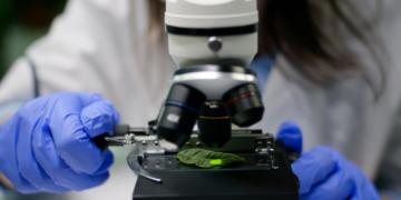 Paraná terá a primeira cooperativa científica do Brasil 8 Paraná terá a primeira cooperativa científica do Brasil