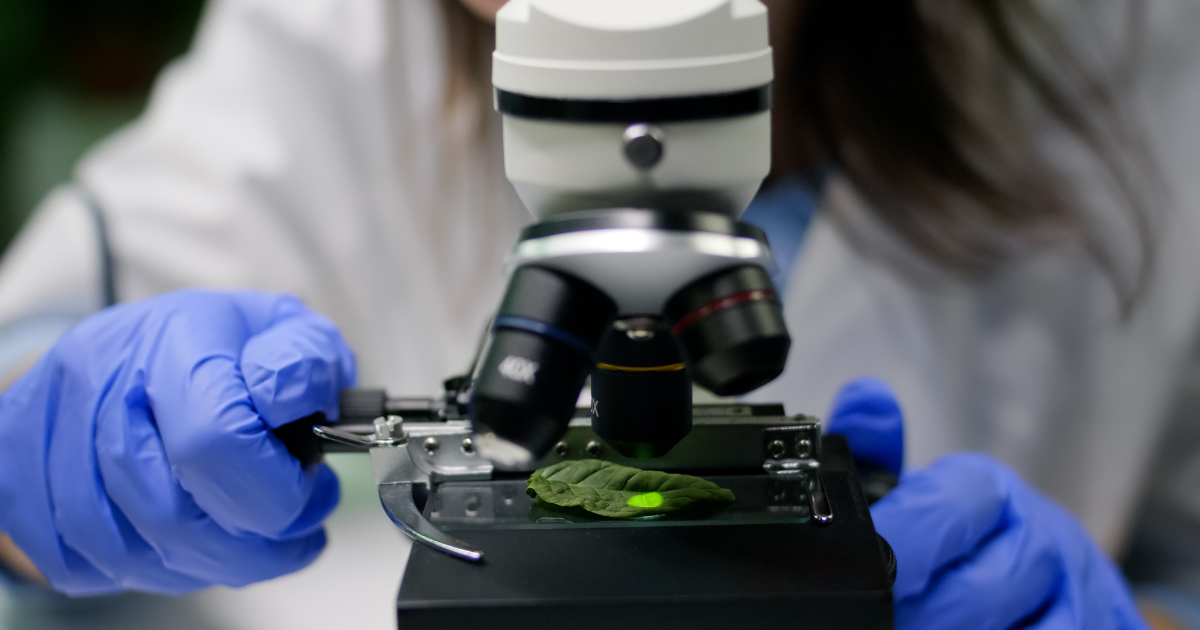 Paraná terá a primeira cooperativa científica do Brasil 3 Paraná terá a primeira cooperativa científica do Brasil