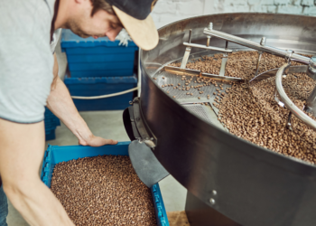 Cooperativas de Minas Gerais respondem por 29% do café produzido no Brasil e movimentaram R$ 66,8 bilhões em 2025 7 Cooperativas de Minas Gerais respondem por 29% do café produzido no Brasil e movimentaram R$ 66,8 bilhões em 2025