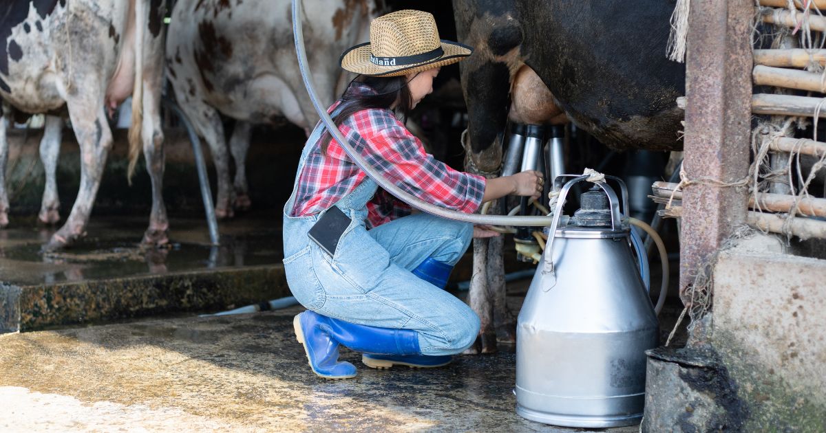 Um em cada cinco litros de leite produzidos em Minas Gerais passa por cooperativas, aponta Sistema Ocemg 1 Um em cada cinco litros de leite produzidos em Minas Gerais passa por cooperativas, aponta Sistema Ocemg