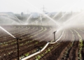 Agricultura irrigada avança no debate nacional e reforça oportunidades para desenvolvimento sustentável no Senado 15 Agricultura irrigada avança no debate nacional e reforça oportunidades para desenvolvimento sustentável no Senado