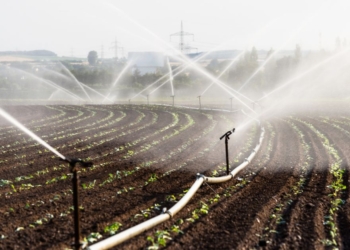 Agricultura irrigada avança no debate nacional e reforça oportunidades para desenvolvimento sustentável no Senado