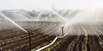 Agricultura irrigada avança no debate nacional e reforça oportunidades para desenvolvimento sustentável no Senado