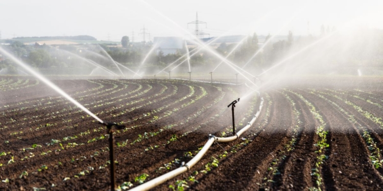 Agricultura irrigada avança no debate nacional e reforça oportunidades para desenvolvimento sustentável no Senado