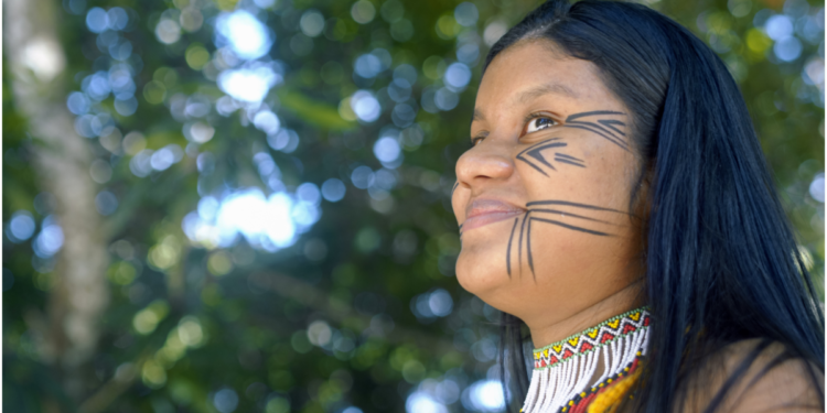 Participação feminina cresce 43% e impulsiona mudanças na gestão cooperativa do Amazonas
