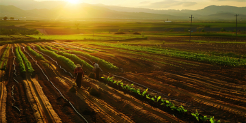 Cédulas de Produto Rural crescem e chegam a R$ 565 bilhões 8 Cédulas de Produto Rural crescem e chegam a R$ 565 bilhões