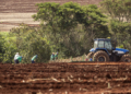 CMN muda regras do crédito rural e do Proagro às vésperas do Plano Safra 2026/27