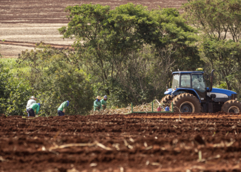 CMN muda regras do crédito rural e do Proagro às vésperas do Plano Safra 2026/27
