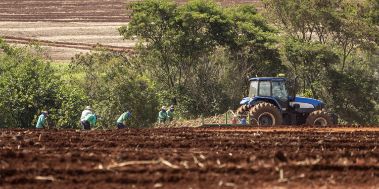 CMN muda regras do crédito rural e do Proagro às vésperas do Plano Safra 2026/27