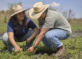 Ministério da Agricultura propõe redução de juros do crédito rural para produtores que contratarem seguro