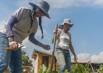 Ministério da Agricultura lança câmara temática para promoção de políticas públicas voltadas às mulheres rurais brasileiras