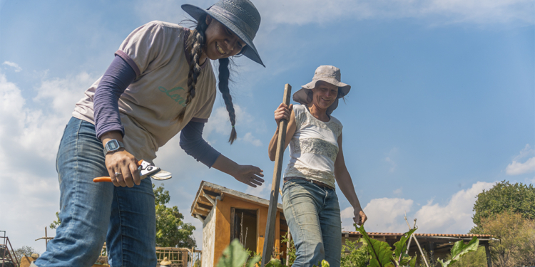 Ministério da Agricultura lança câmara temática para promoção de políticas públicas voltadas às mulheres rurais brasileiras 1 Ministério da Agricultura lança câmara temática para promoção de políticas públicas voltadas às mulheres rurais brasileiras