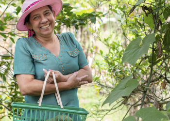 Mapa lança programa para impulsionar liderança feminina e promover inclusão no ambiente institucional