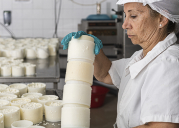 Cooperativas agropecuárias concentram a maior geração de riqueza em MG