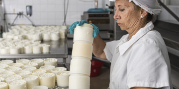 Cooperativas agropecuárias concentram a maior geração de riqueza em MG