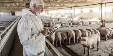 Cooperativa Cotripal usa ultrassom e aplicativo para classificar potencial de desenvolvimento animal na pecuária de precisão 8 Cooperativa Cotripal usa ultrassom e aplicativo para classificar potencial de desenvolvimento animal na pecuária de precisão