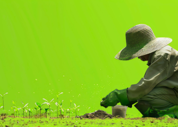 Do campo ao algoritmo: o novo marketing do agro cooperativo brasileiro 2 marketing 5