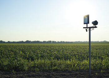 Cobertura 4G e 5G em áreas agrícolas do Brasil cresce 81% e amplia conectividade no campo 3 Cobertura 4G e 5G em áreas agrícolas do Brasil cresce 81% e amplia conectividade no campo
