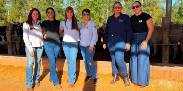 Comitê Feminino da Cooperativa COAPA visita propriedades rurais em projeto de integração entre cooperadas 8 Comitê Feminino da Cooperativa COAPA visita propriedades rurais em projeto de integração entre cooperadas