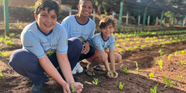 Cooperativas mirins crescem no Brasil com 15 mil crianças e adolescentes em projetos de empreendedorismo 1 Cooperativas mirins crescem no Brasil com 15 mil crianças e adolescentes em projetos de empreendedorismo
