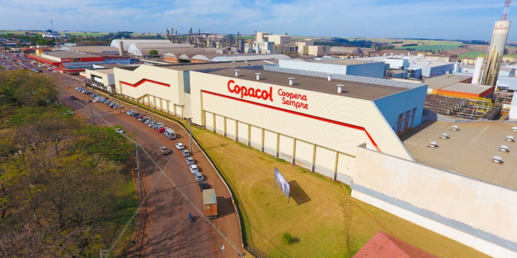 Cooperativa Copacol lidera ranking inédito de co-manufatura no Brasil à frente de Unilever, JBS e Nestlé 1 Cooperativa Copacol lidera ranking inédito de co-manufatura no Brasil à frente de Unilever, JBS e Nestlé